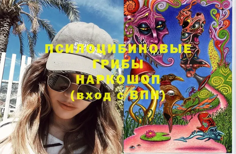 Псилоцибиновые грибы Cubensis Арск